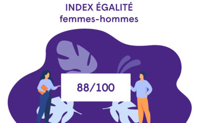 Index égalité femmes-hommes 2020